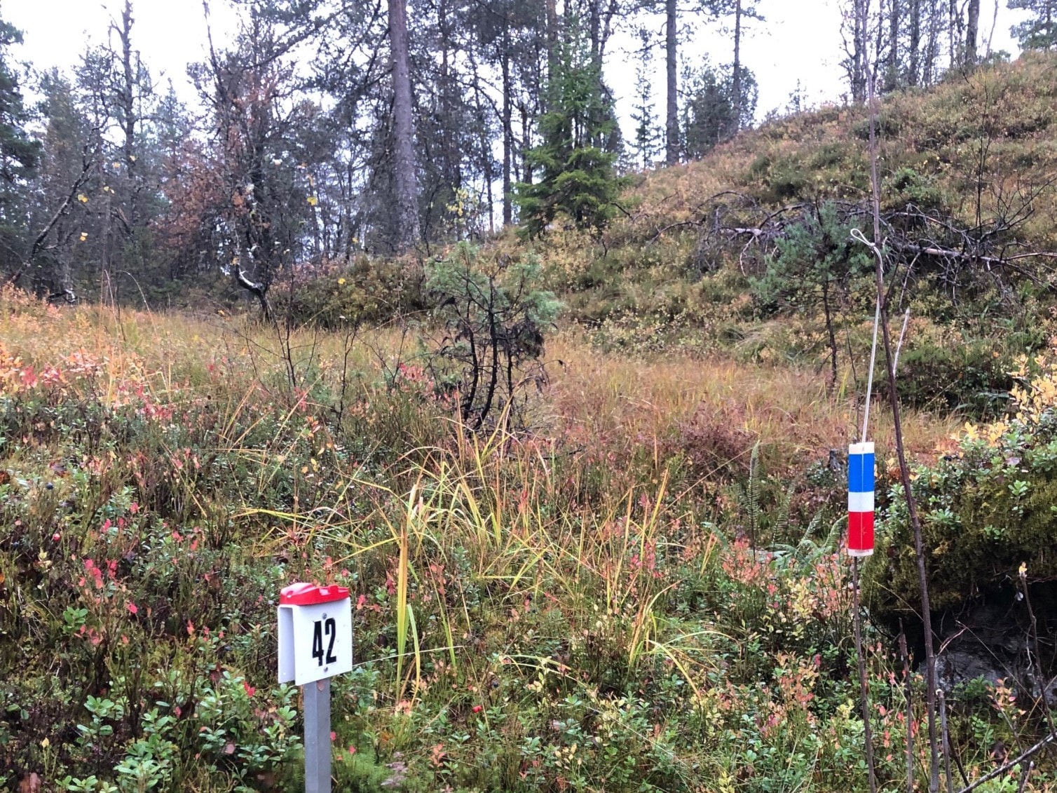 Nattløp 27.10 Blomlia - med resultat